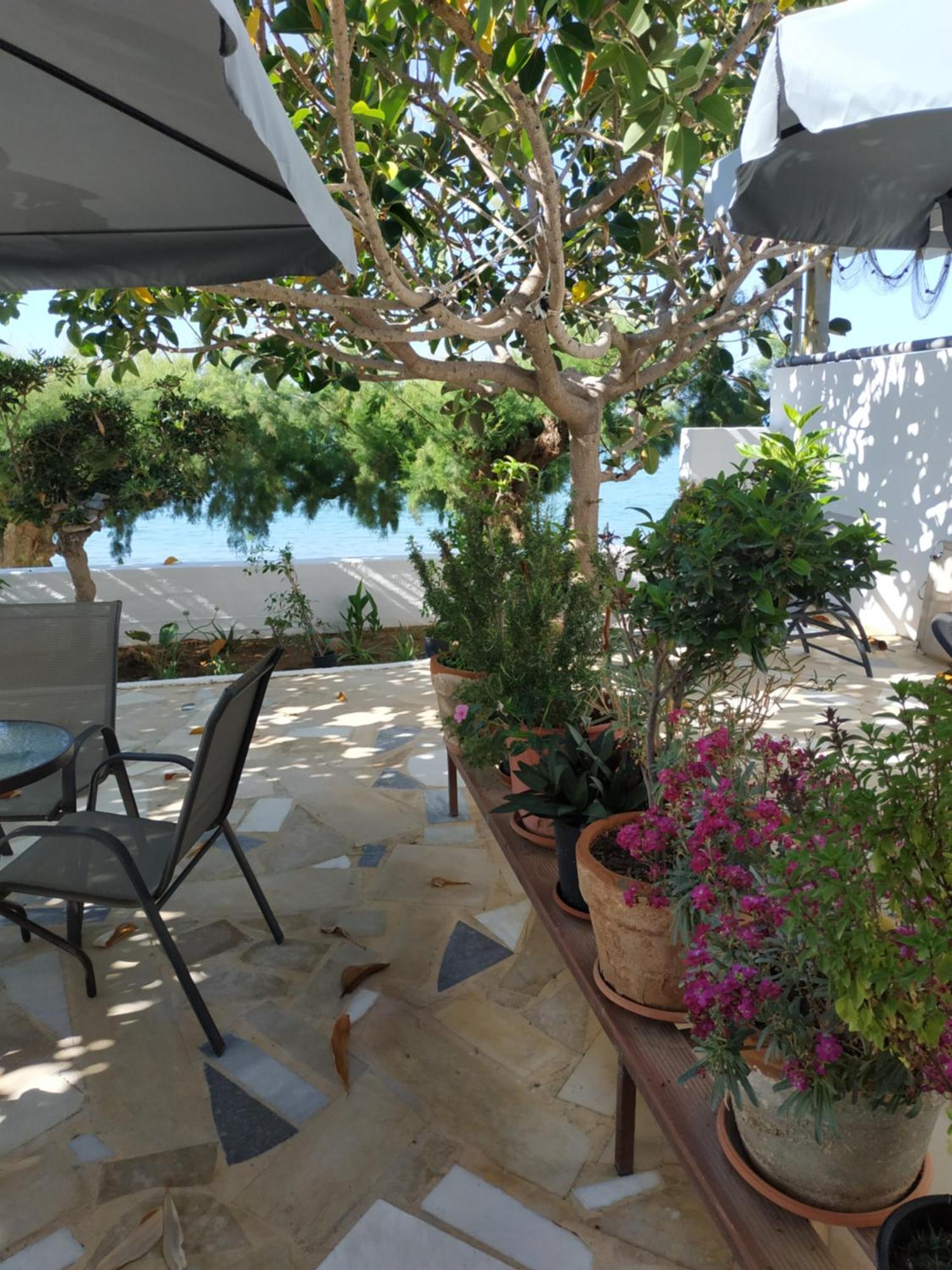Creta Sun Apartments Makry Gialos  Exterior photo